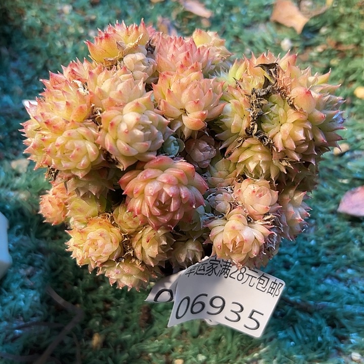 幸运的是我还没遇到