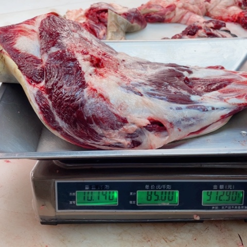 【闪购商品】冷冻保存30天包装河北省东****司