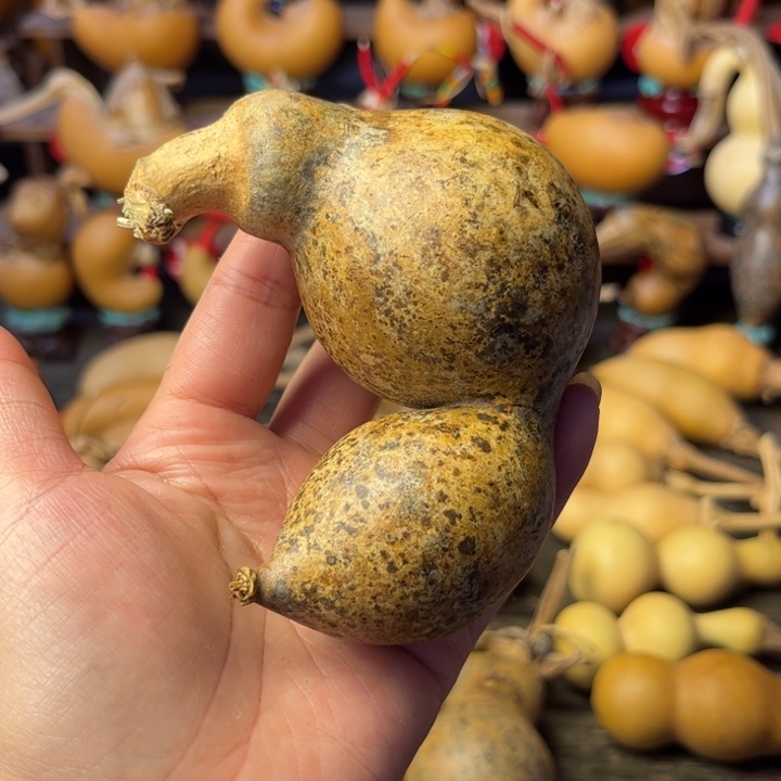 心***敌花皮葫芦局部有掉皮的