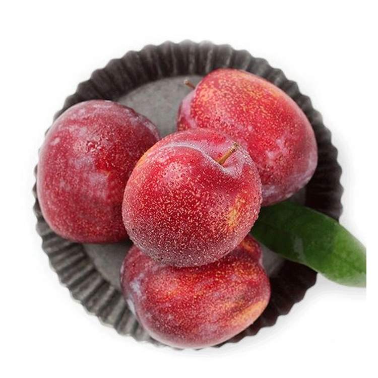 红布林500±50g/份