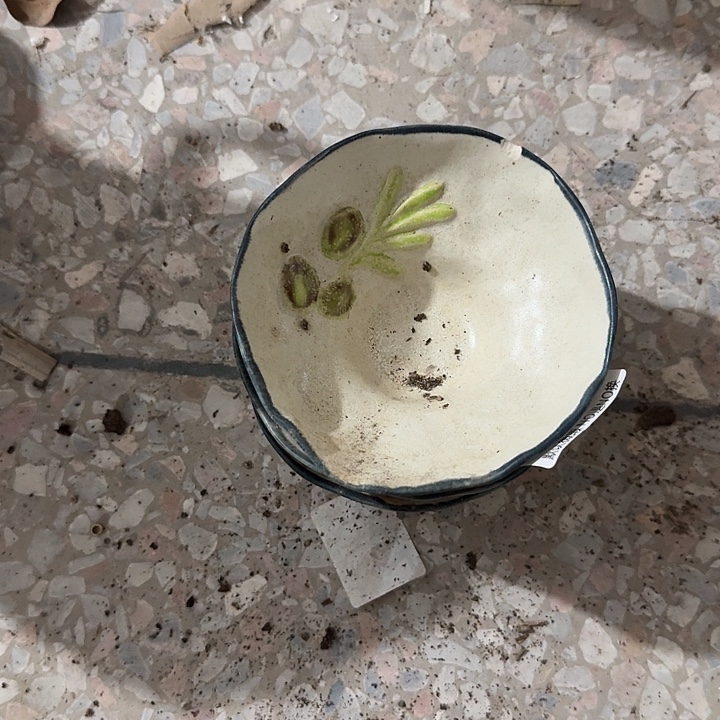 微瑕陶瓷完美主义者勿拍3