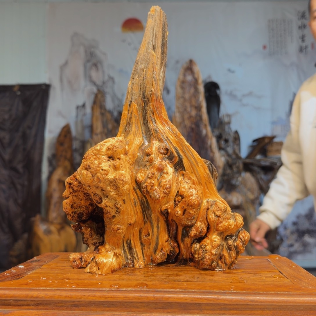 叶***尘木三丰琥珀木 天然摆件12