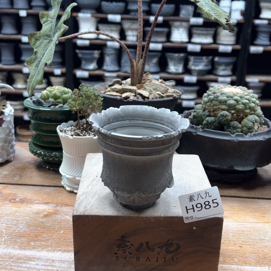 素八九陶瓷内口10高9