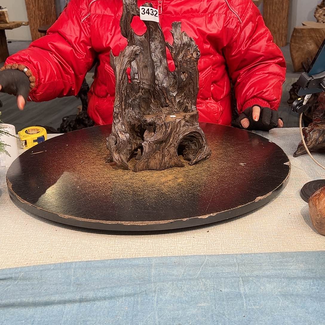 木三*3432 hvhvhvhvgcddfgh