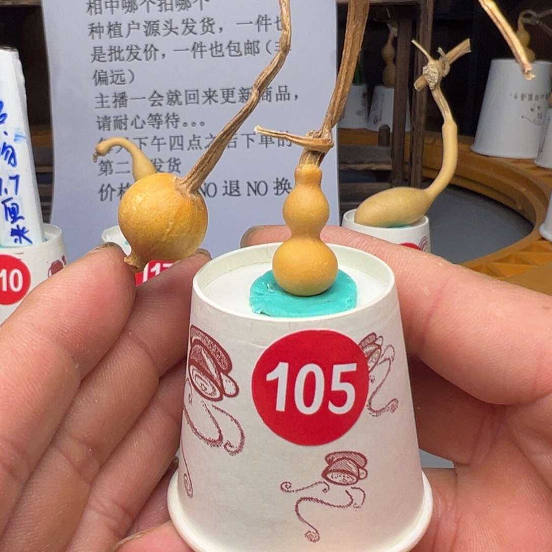 闪电购自助下单编号105