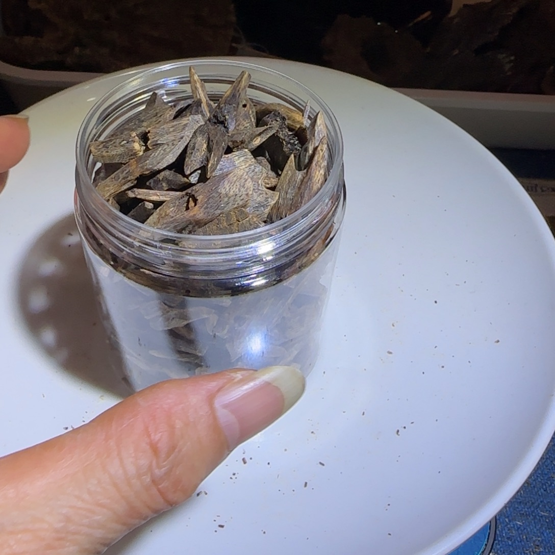 沉香碎屑沉香金沙叶母树沉水瓜子树心油100克