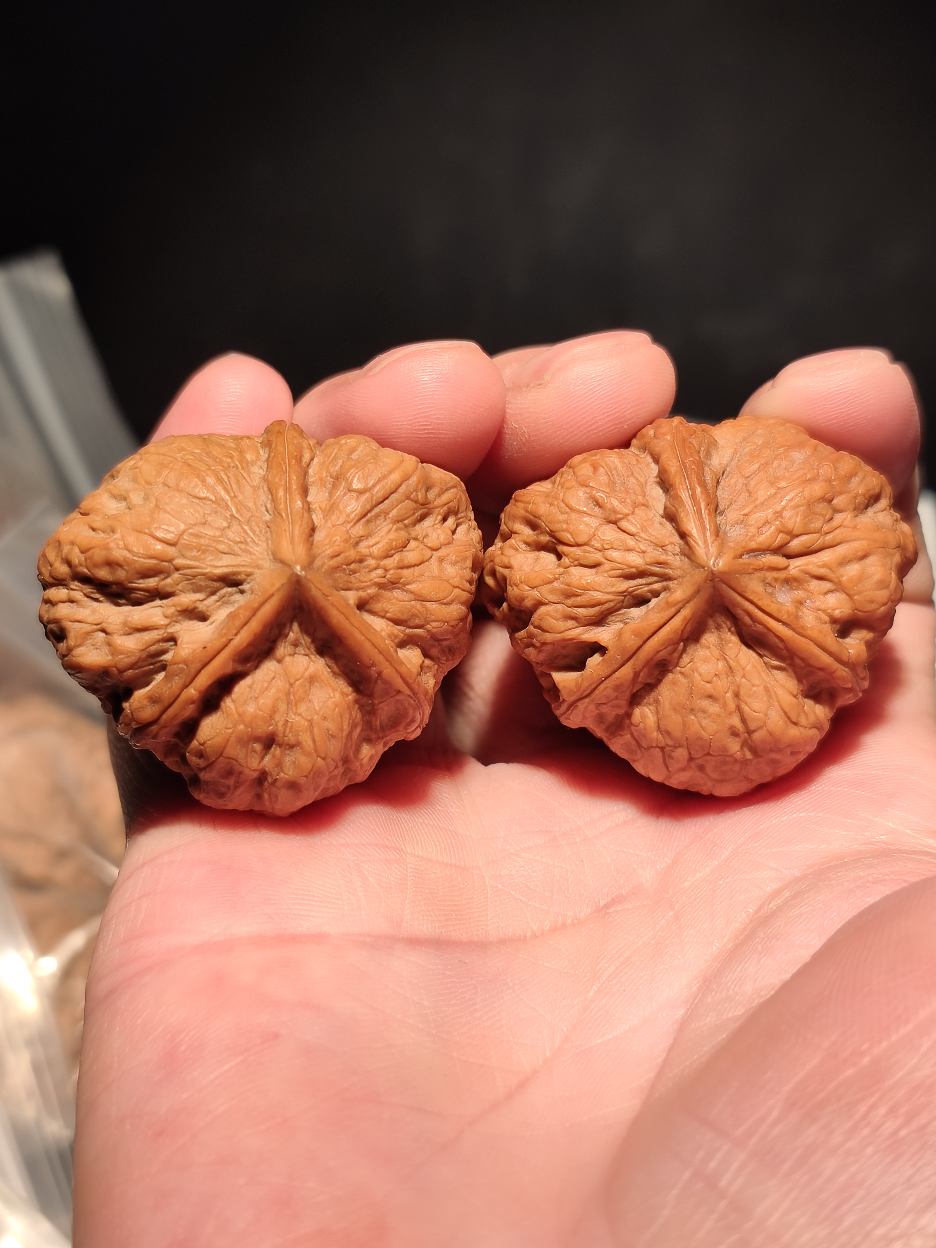 206号云南铁核桃蝶桩玉璧三棱手把件带阴皮矮桩