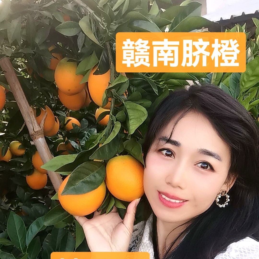《中果10斤》珊爷家江西瑞金脐橙当季现摘，香甜多汁，产地直发