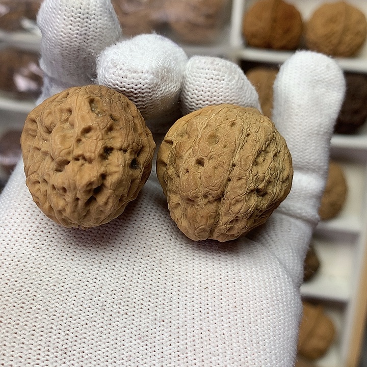 核桃缩小版帝王蛤蟆头10号