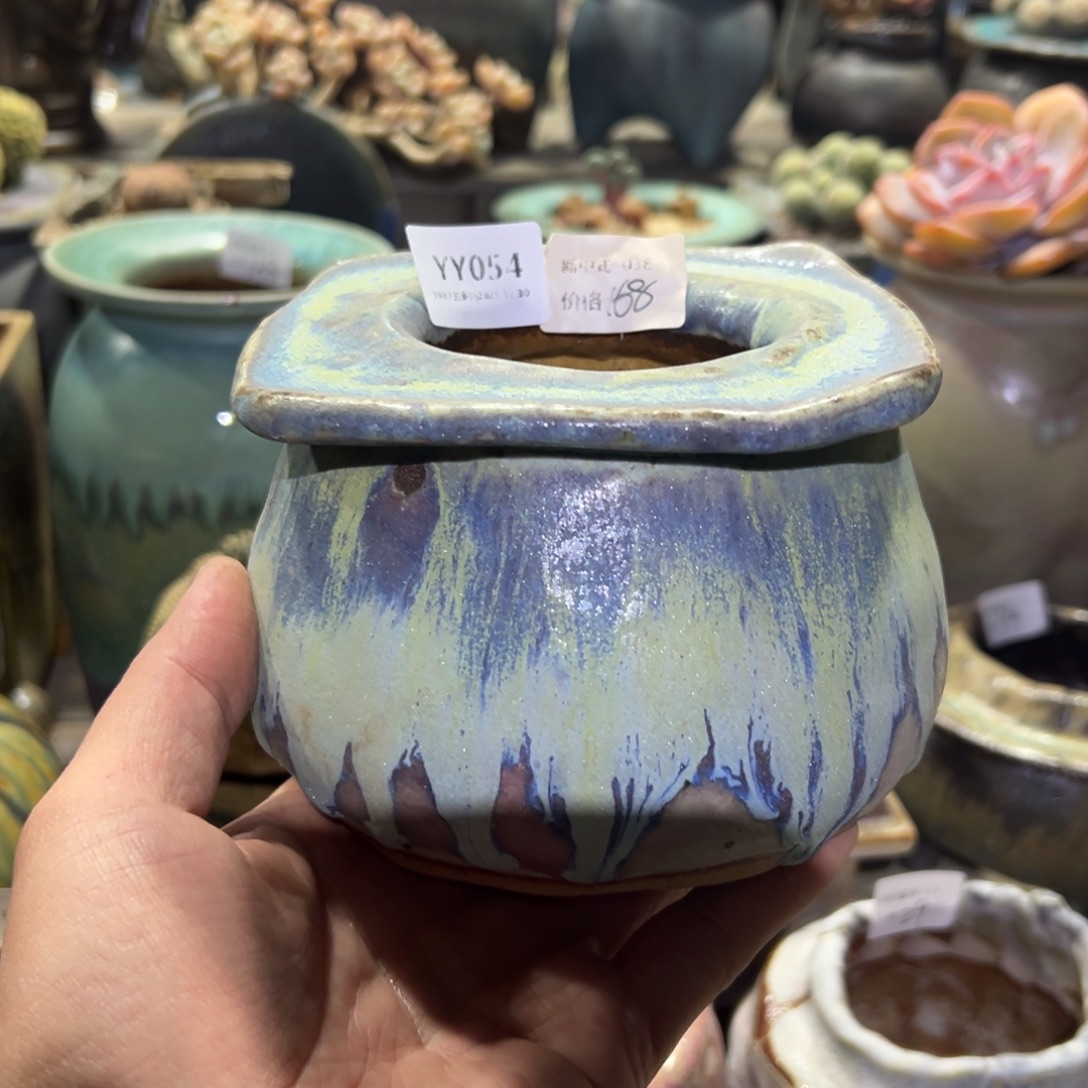 1987盆肉YY054 星月夜棋盘格