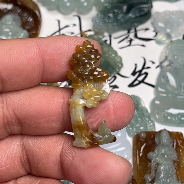 滕***翡翠未镶嵌颈饰发财树