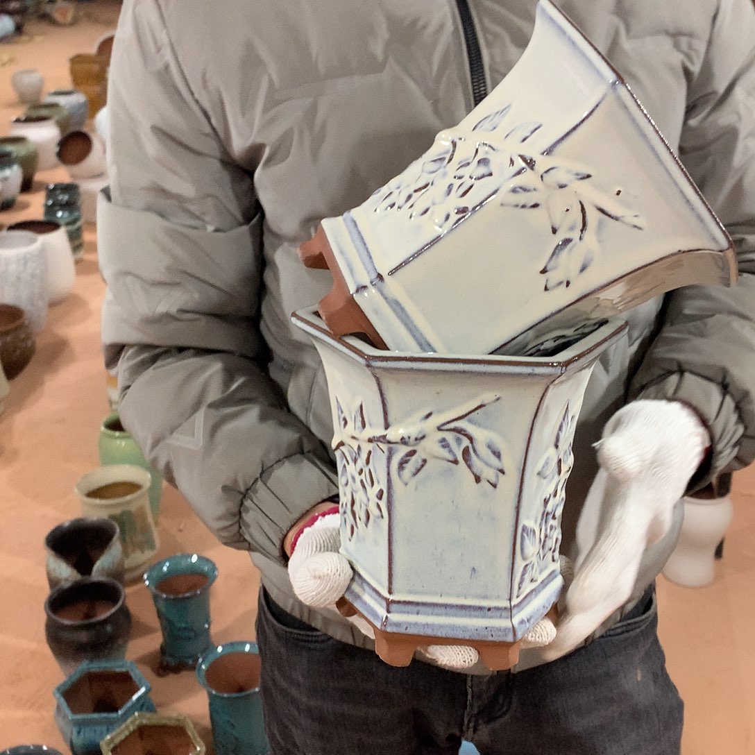 花盆啦啦啦啦啦啦啦啦啦