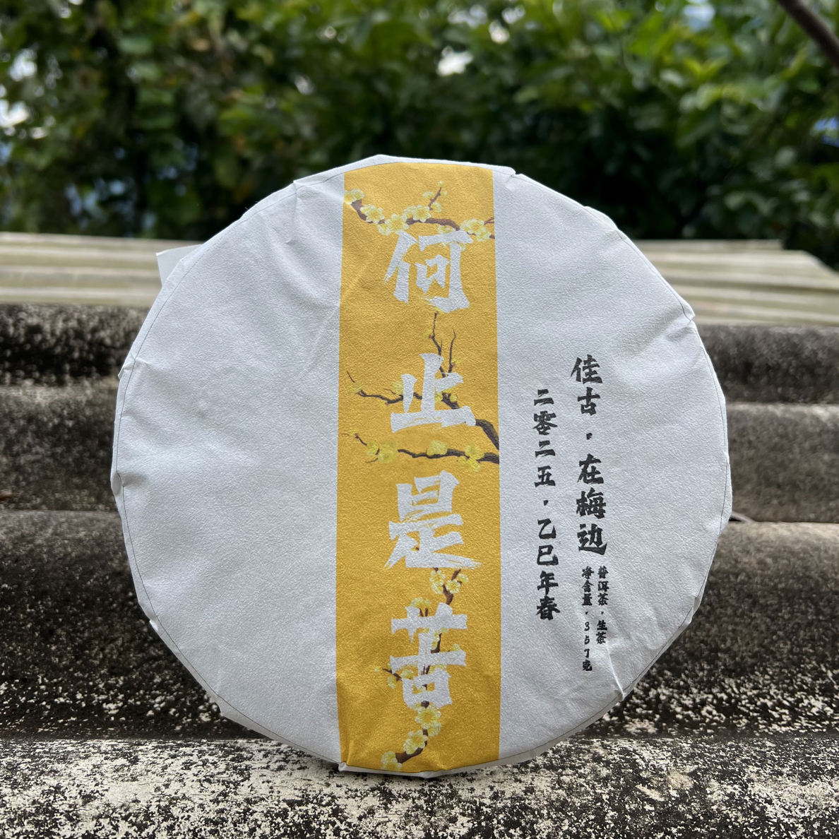 【梅香甜】25年佳古春细叶种普洱生茶