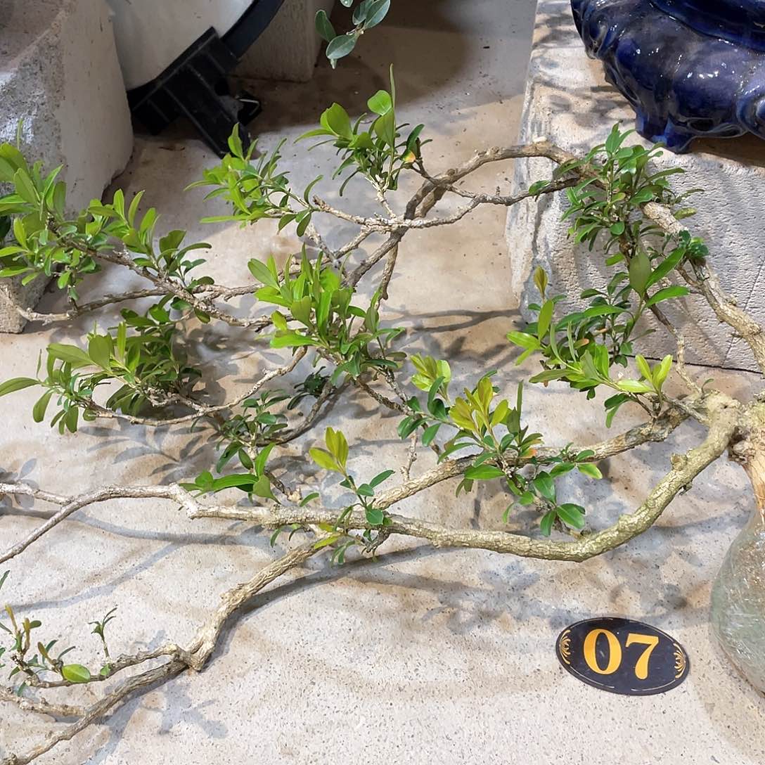 红陶?****?一起为梦想而加油啊我