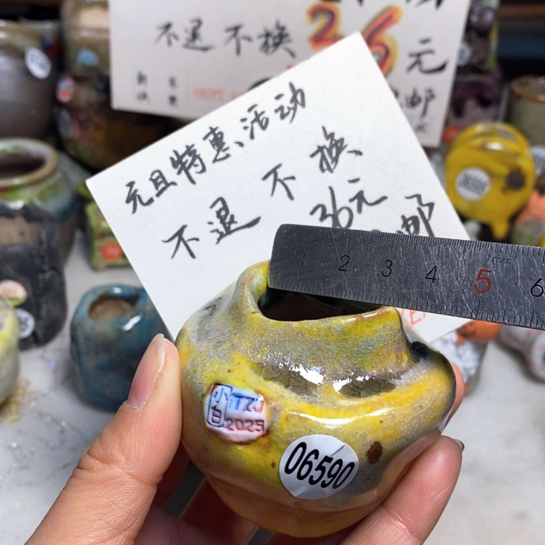 元旦特价花盆不退不换的原价32元