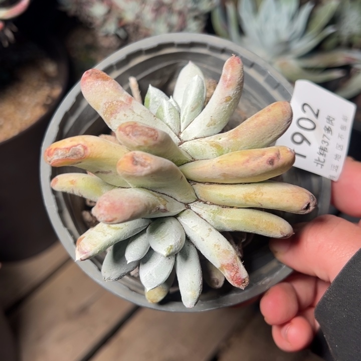 1902哈哈哈哈哈哈哈