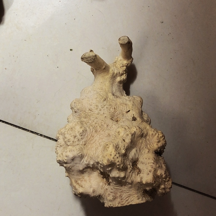 修***汉木木料木料木料木料