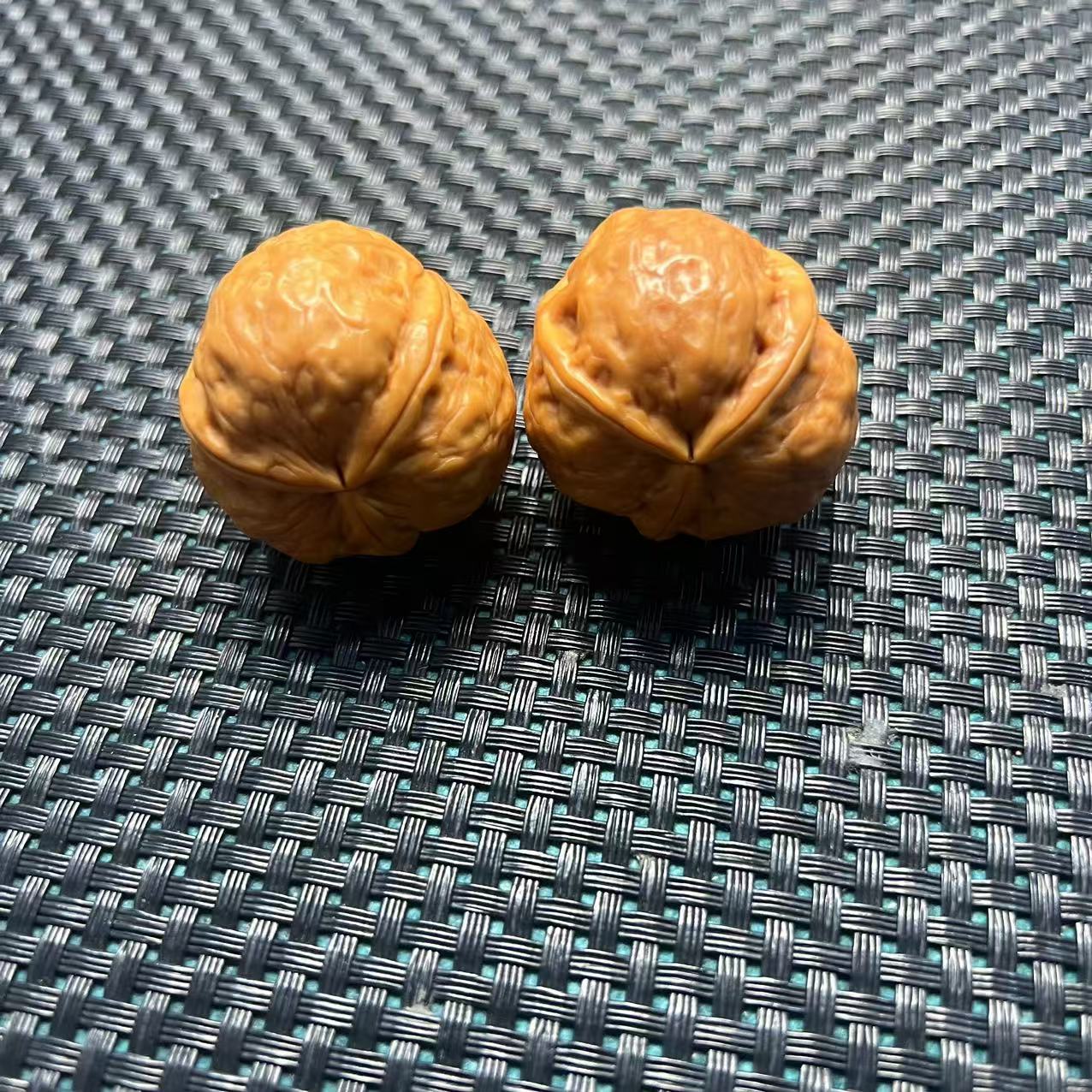 三棱铁核桃  -221