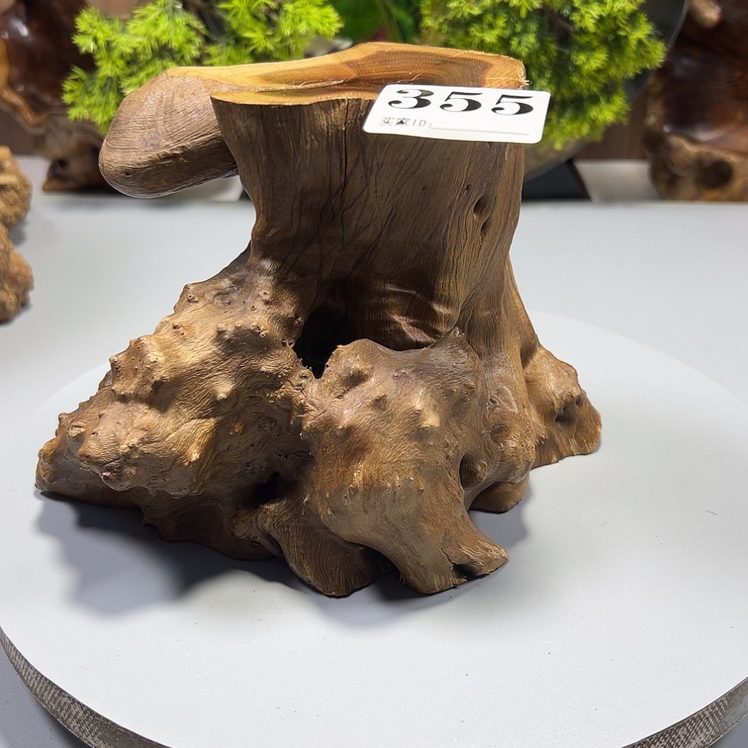 大果紫檀（缅甸花梨）用****豆