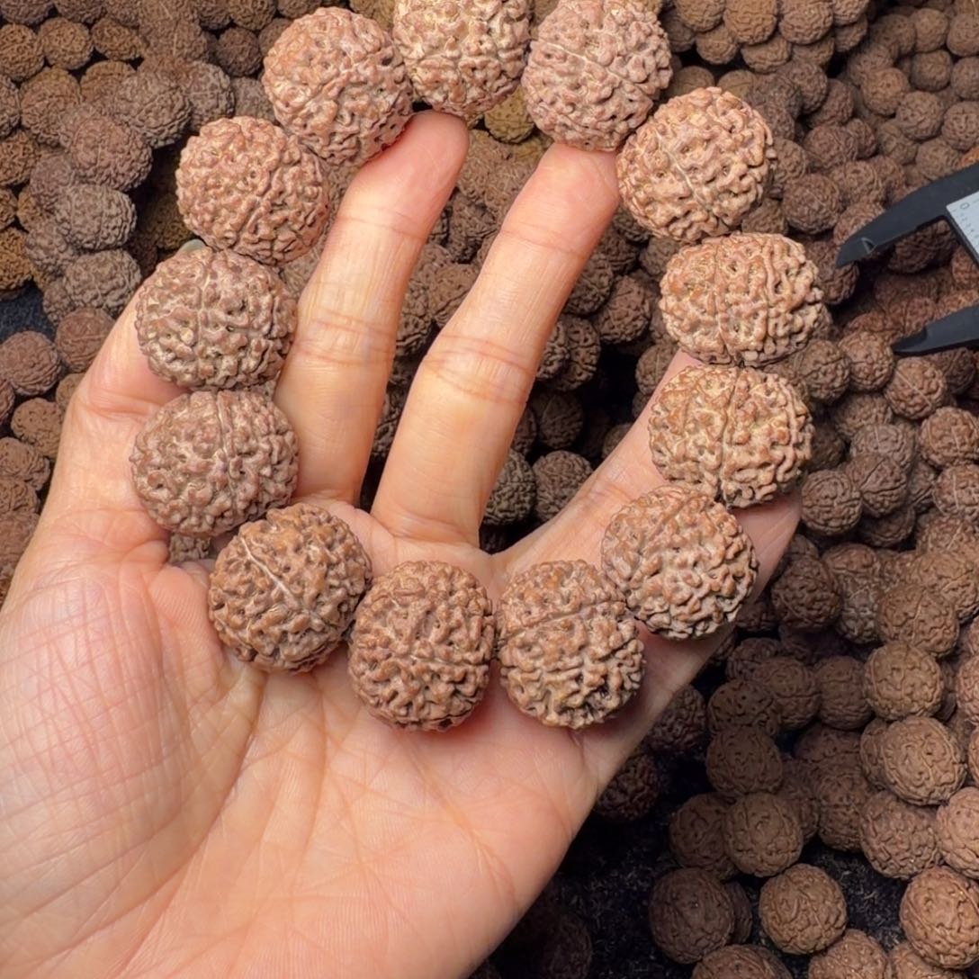 金刚菩提手串8瓣卡24尺，65号