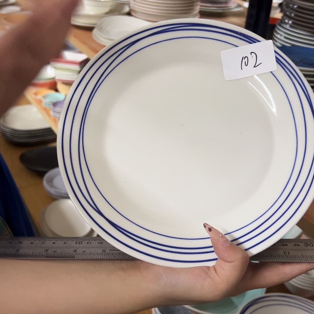 新骨瓷102微瑕蓝线条9.5寸平盘