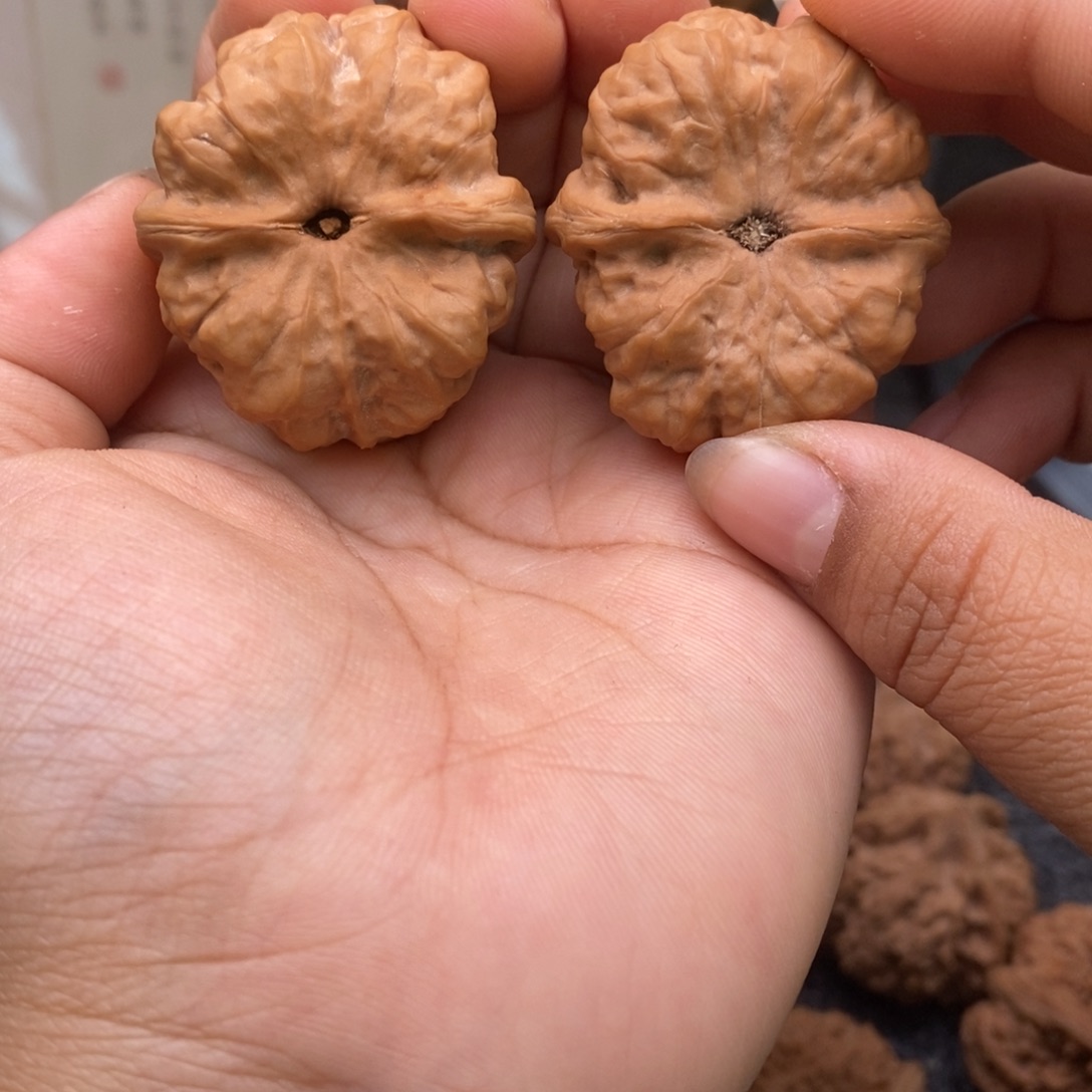 文玩核桃把件35大肚蛤蟆头192