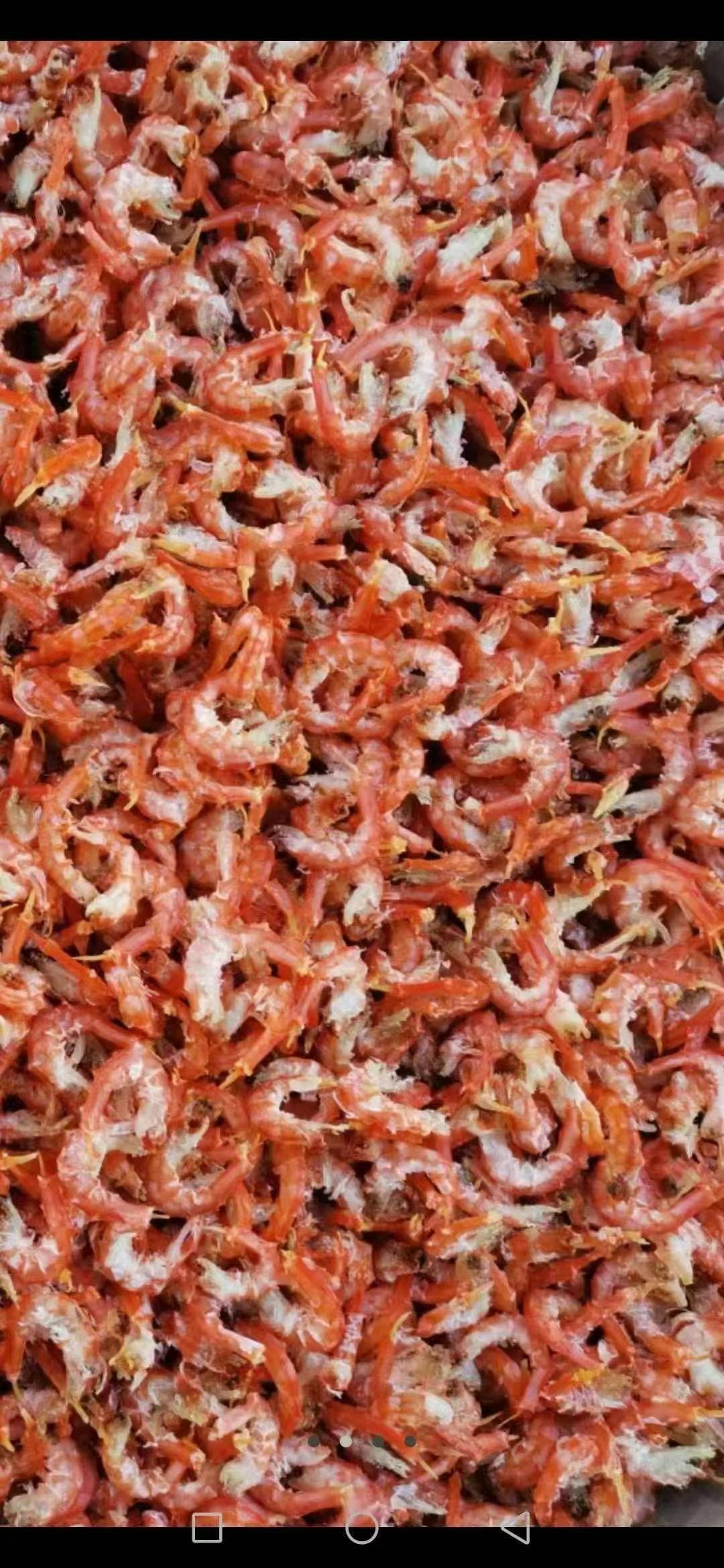 荣成手扒虾 手工手剥鹰爪虾 送礼佳品