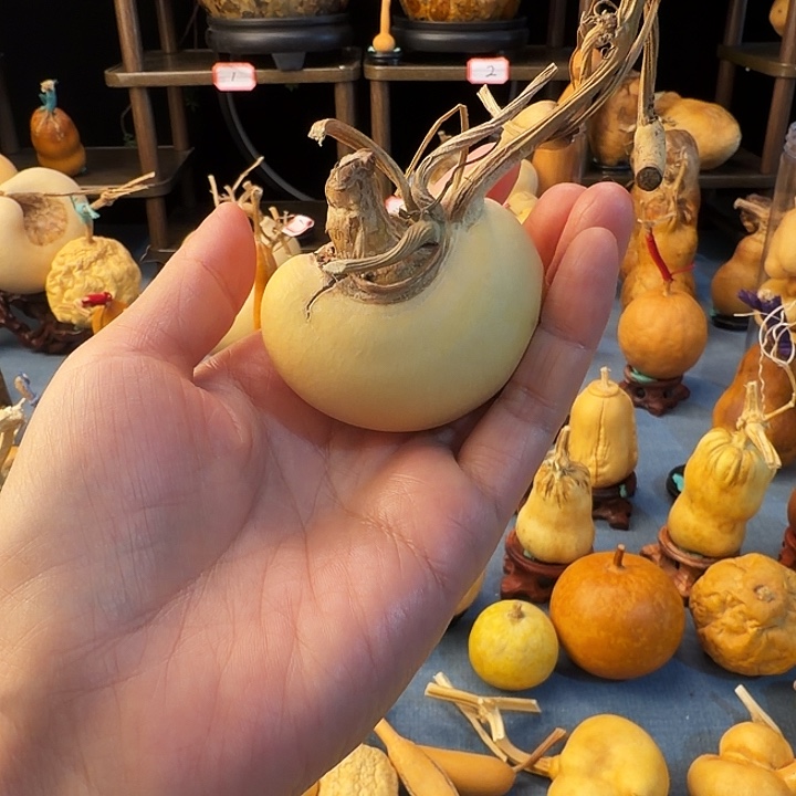 r***h大叶紫檀（黑酸枝木类）