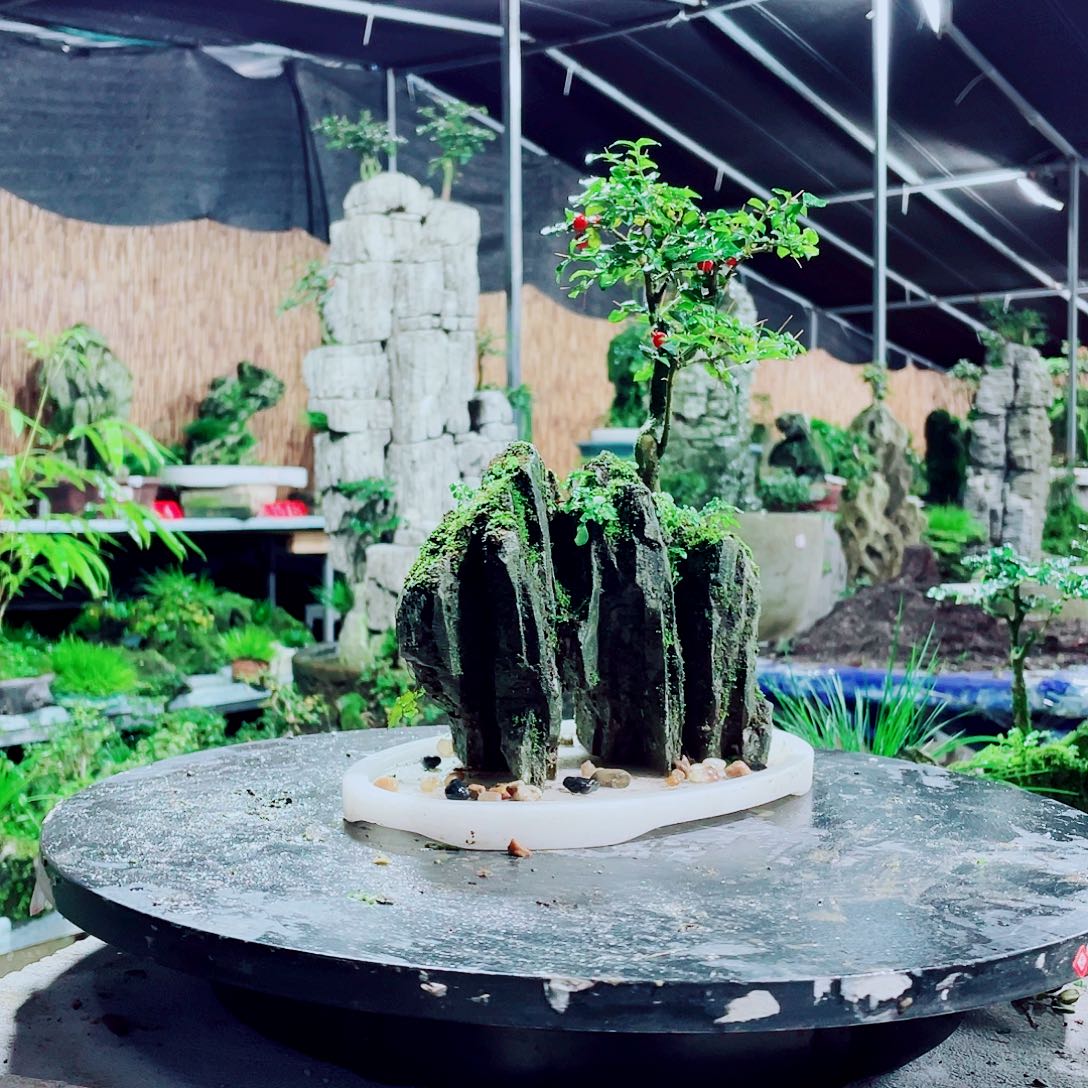 用***2无花朵新品发布和产品销售服务