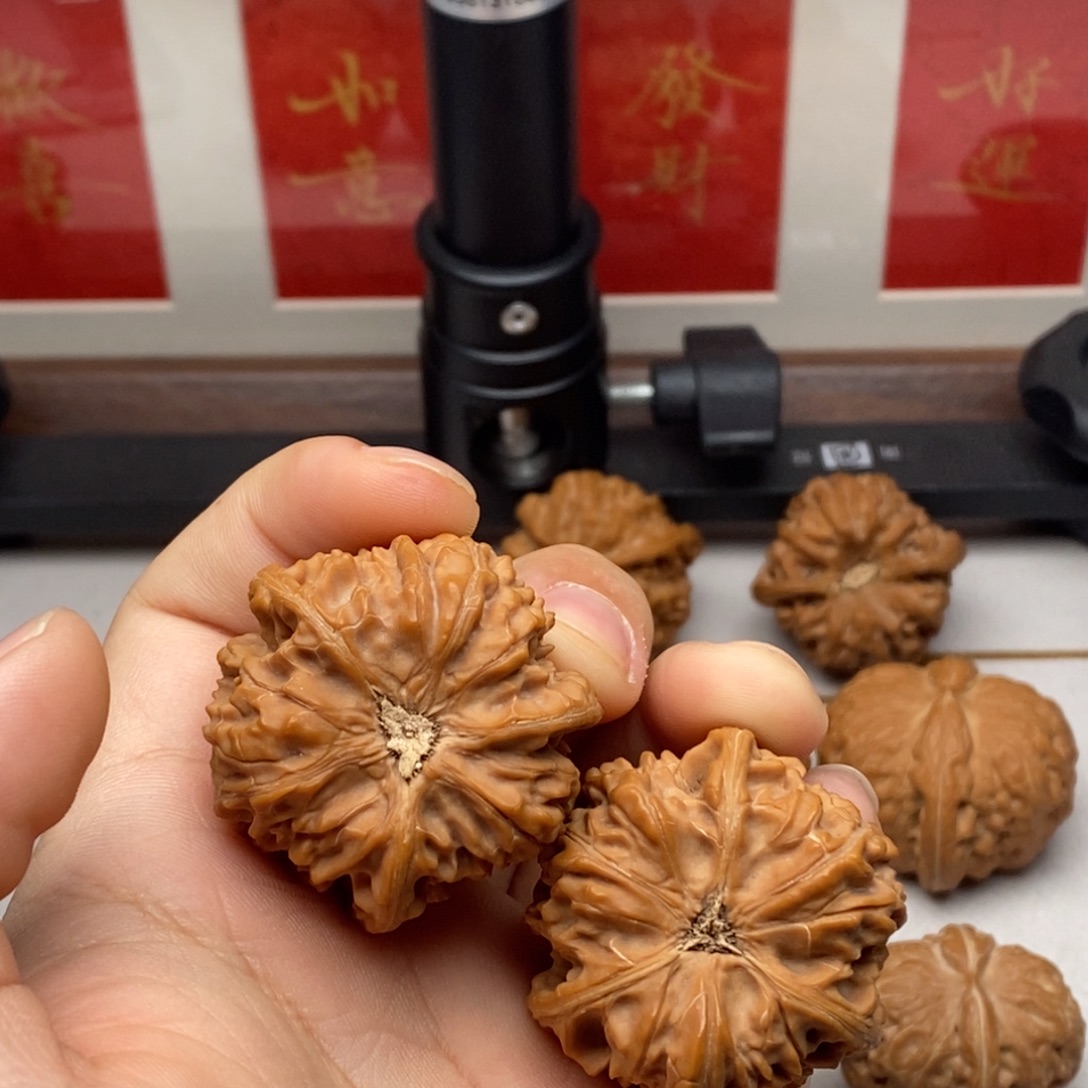 大***头核桃全品货头御龙