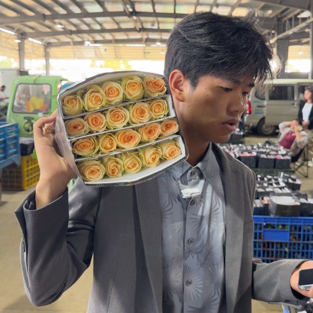 香槟8扎包邮百分之二十不售后