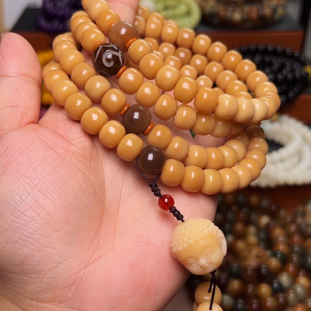 菩提根/象牙果手串