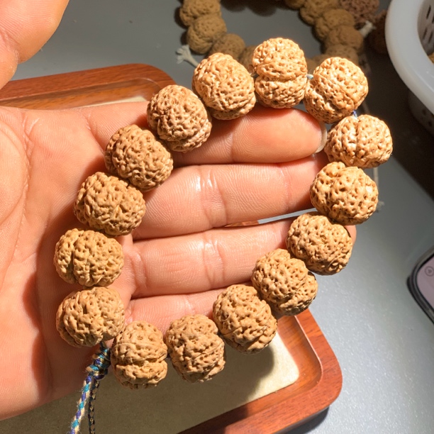 【梁】真正梁产区双龙梅花毕业品质