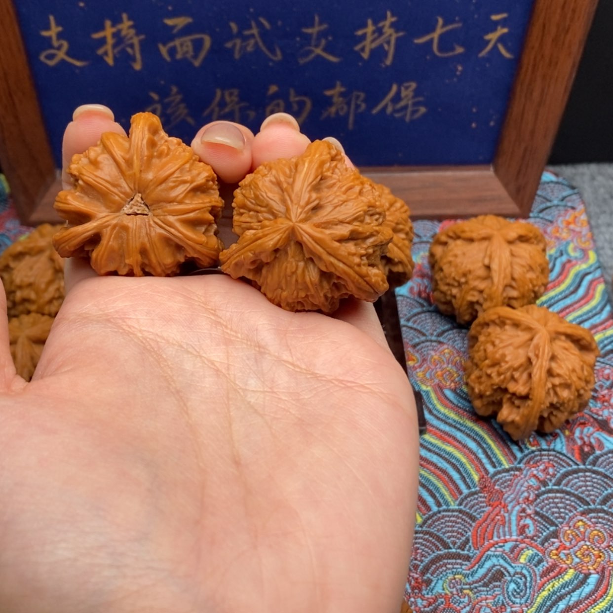【闪购商品】谦***你白狮