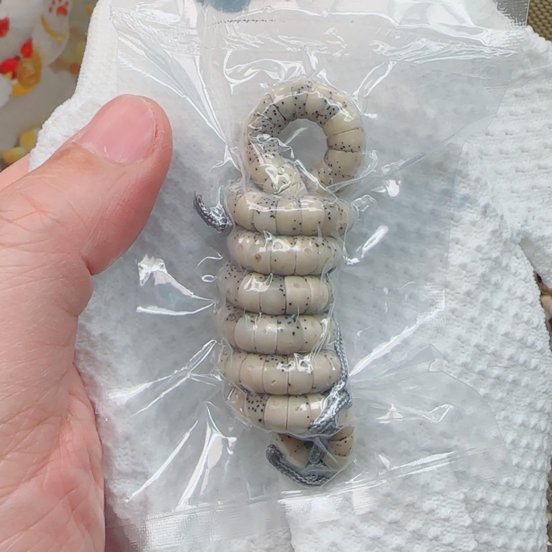 星月菩提手串通体留白手工大肠7mm