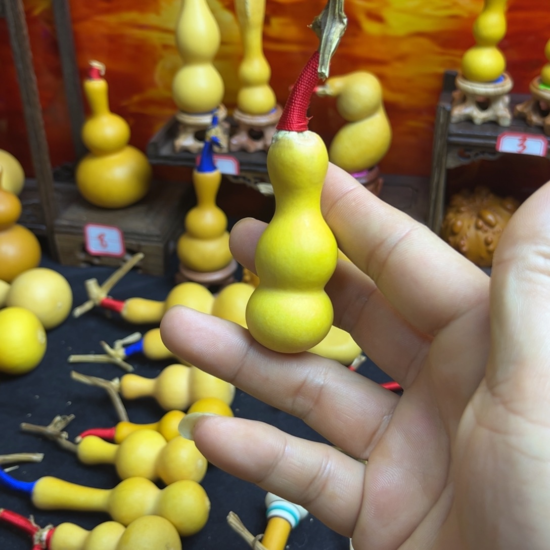 L***猫葫芦等各种各样品种