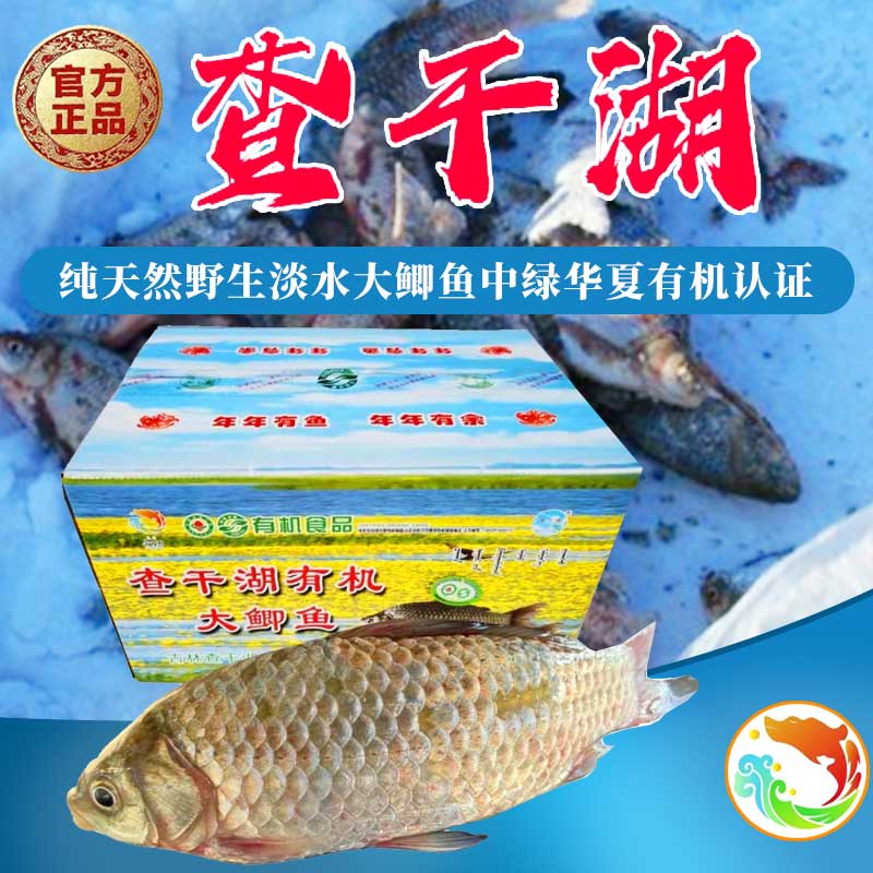 查干湖有机大鲫鱼官方正品礼盒装每箱10斤顺丰包邮