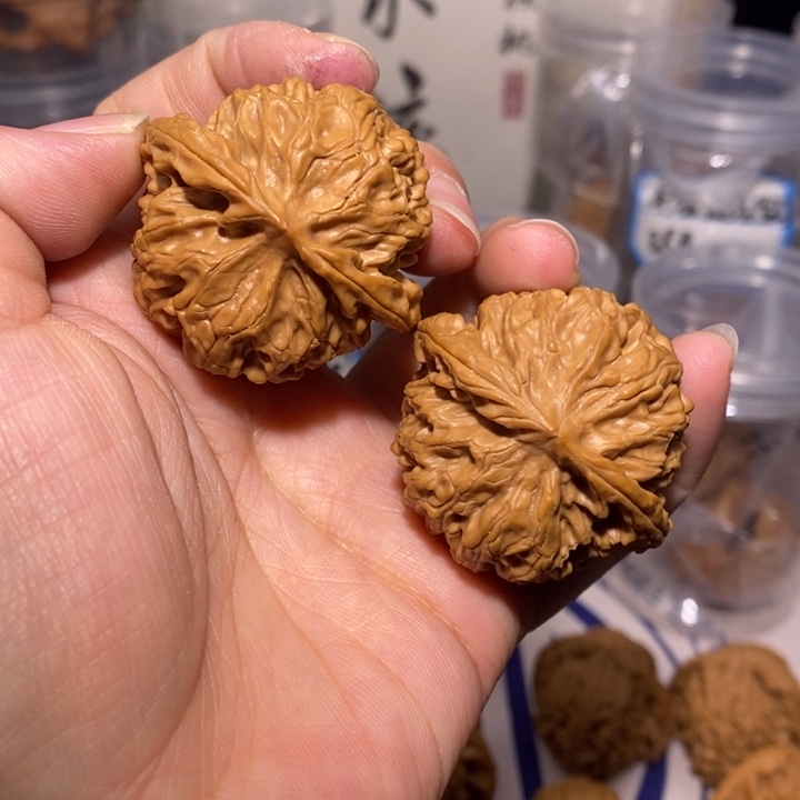 核桃把件40尺全品苹果园