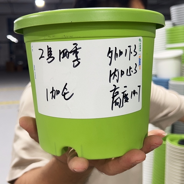 特价2号四季口17高14混色10个无托