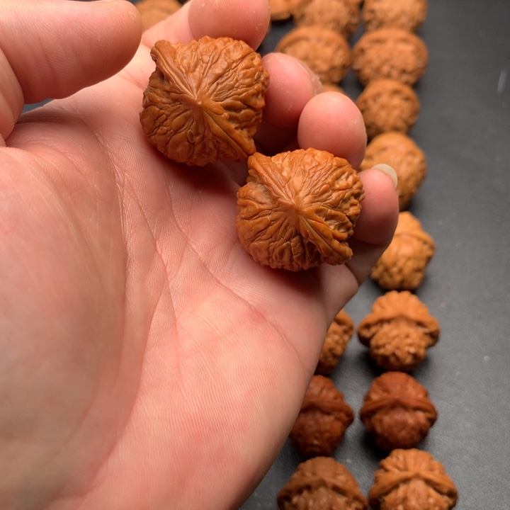 乾隆磨野生植物资源