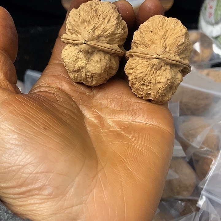 把件文玩核桃云南铁核桃基地91