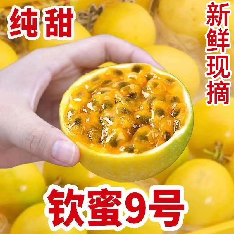 原产地钦蜜9号百香果新鲜现摘当季水果鲜甜多汁批发