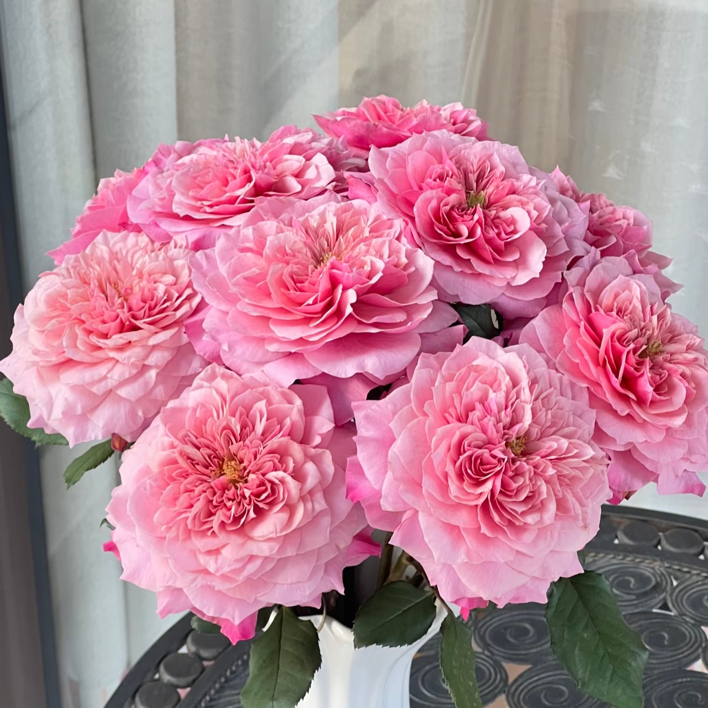 雅致单头玫瑰20枝，云南顺丰直发