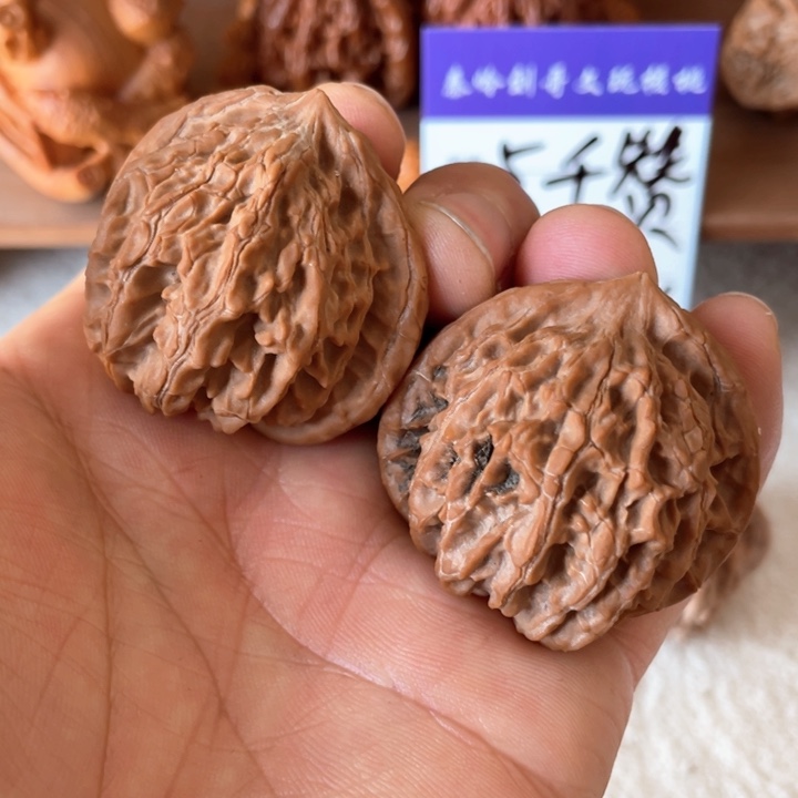 核桃其他秦岭核桃种植