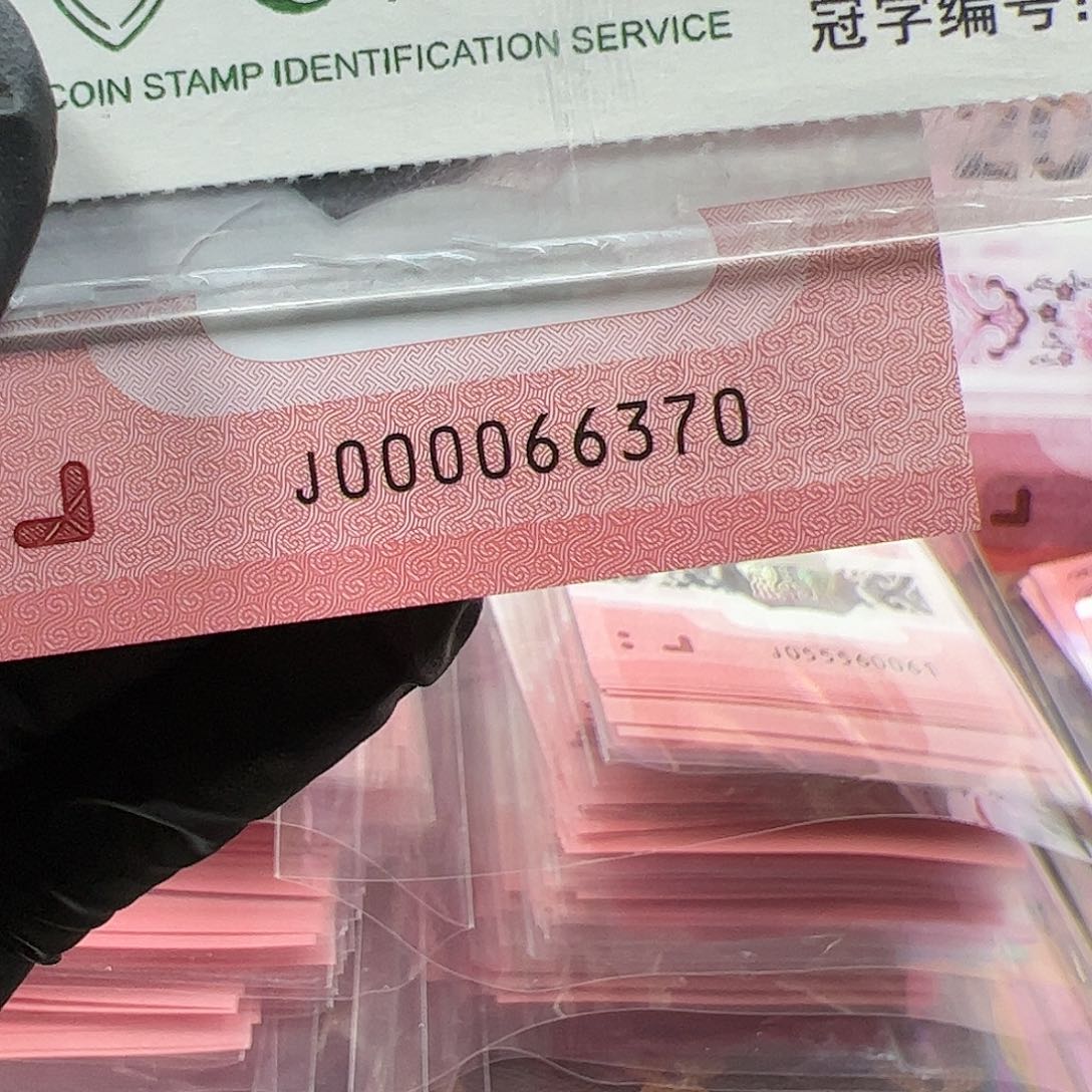 J000066370单张简易封装蛇