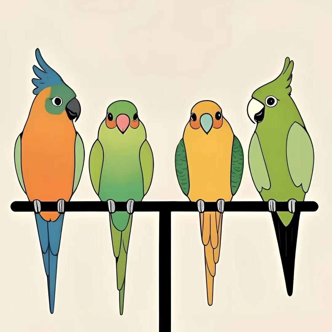 宠物手养活体鹦鹉雏鸟学技能一物一拍