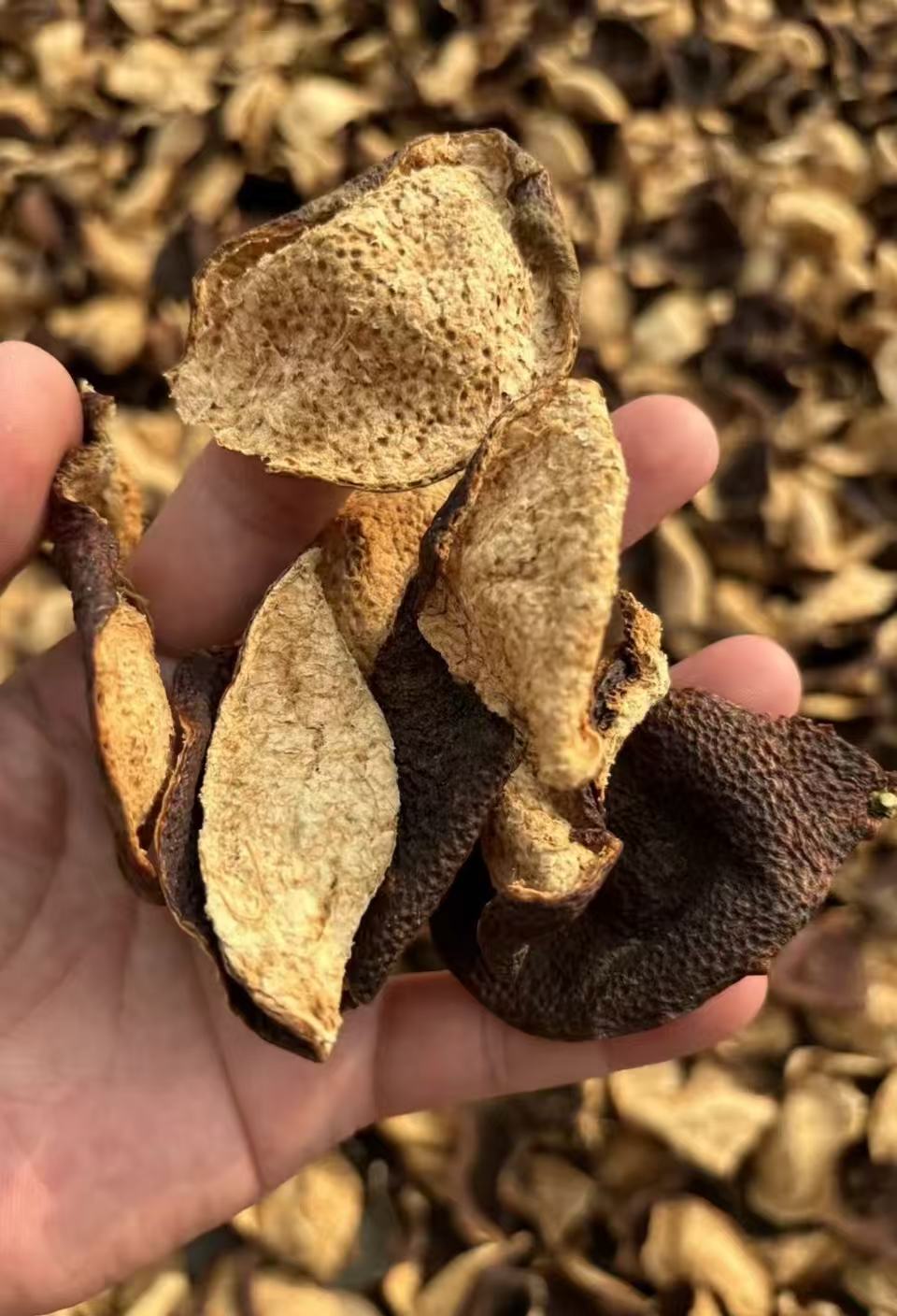 【6月3号】断皮-新会陈皮12年陈