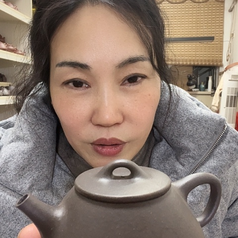 紫砂茶壶天清平盖石飘