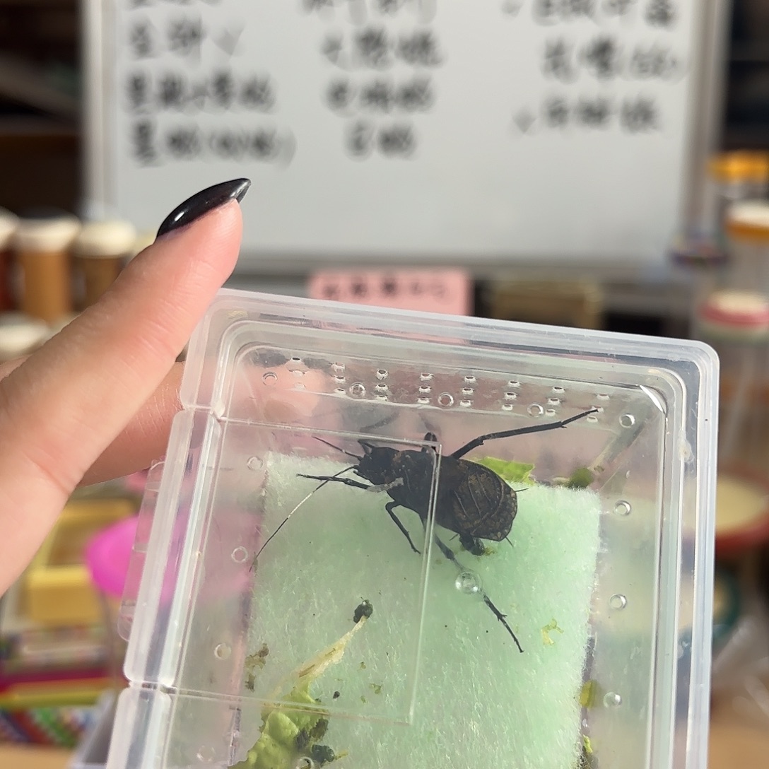 断须电报人工电报