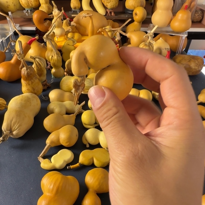 愛***誰绒面双方还就看看家家户户哈哈嘎嘎嘎嘎